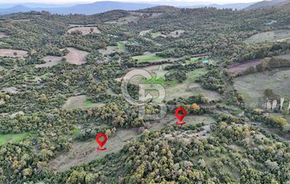 Hobi ve Tarım İçin İdeal! 15.211 m² 2 Adet Satılık Arazi