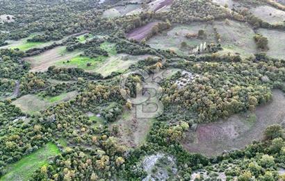 Hobi ve Tarım İçin İdeal! 15.211 m² 2 Adet Satılık Arazi