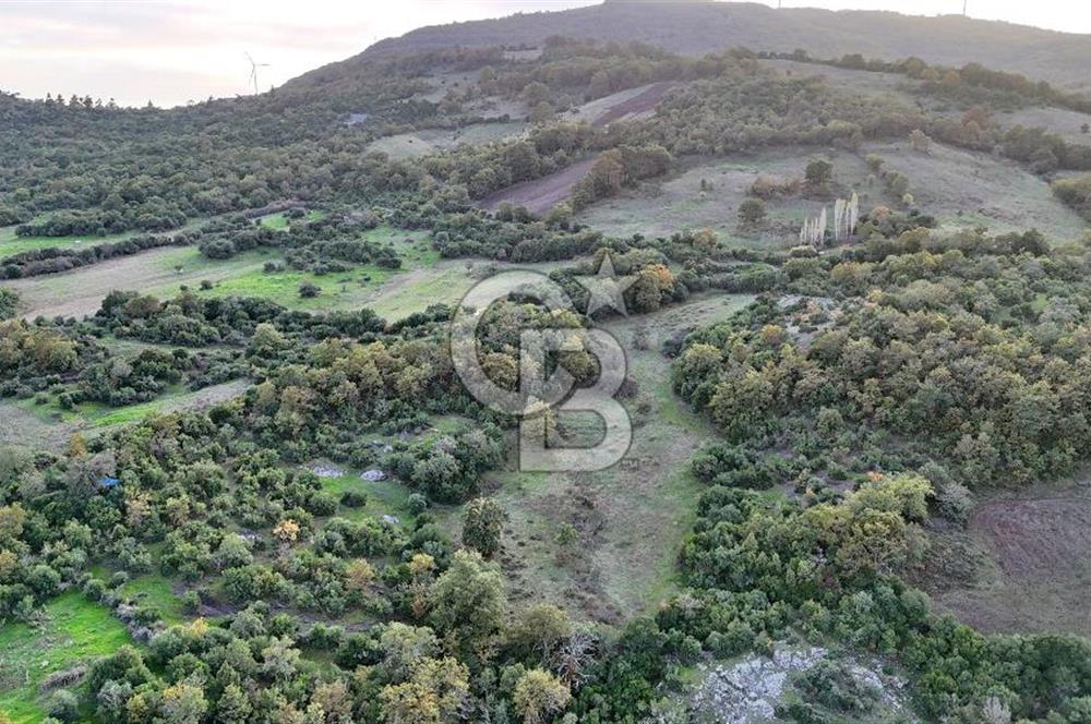 Hobi ve Tarım İçin İdeal! 15.211 m² 2 Adet Satılık Arazi