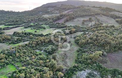 Hobi ve Tarım İçin İdeal! 15.211 m² 2 Adet Satılık Arazi