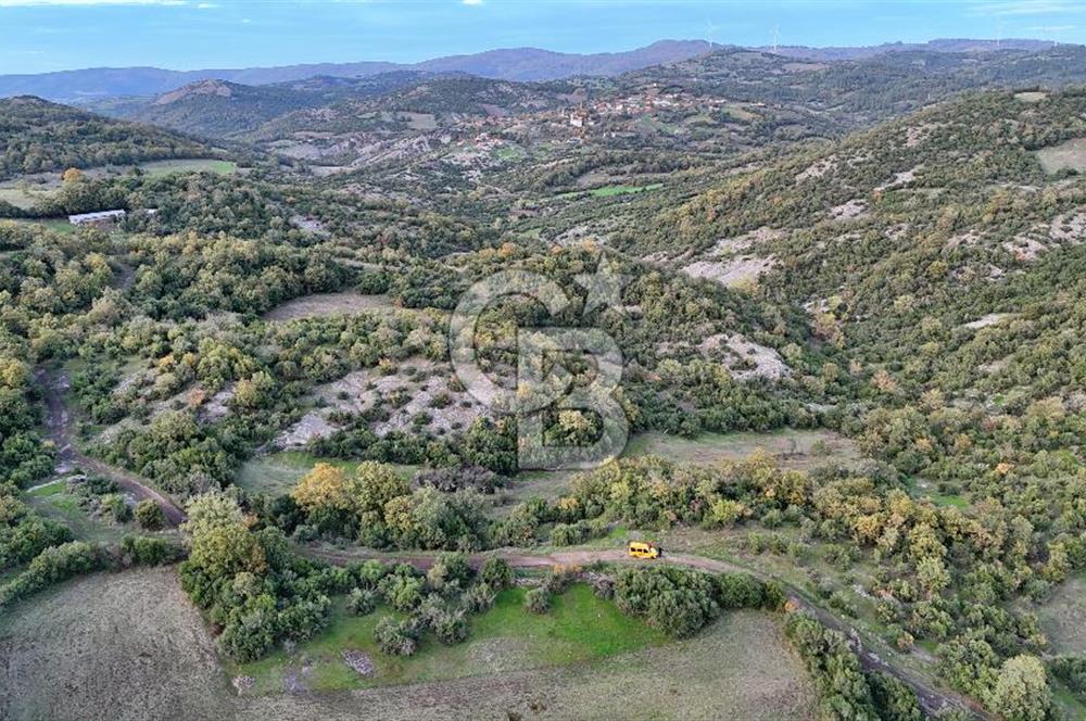 Hobi ve Tarım İçin İdeal! 15.211 m² 2 Adet Satılık Arazi