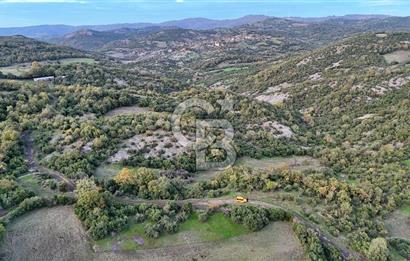 Hobi ve Tarım İçin İdeal! 15.211 m² 2 Adet Satılık Arazi