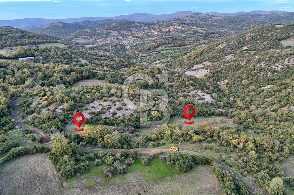 Hobi ve Tarım İçin İdeal! 15.211 m² 2 Adet Satılık Arazi