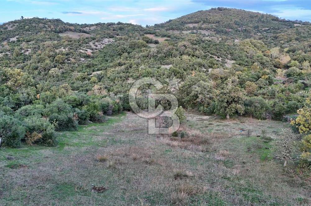 Hobi ve Tarım İçin İdeal! 15.211 m² 2 Adet Satılık Arazi