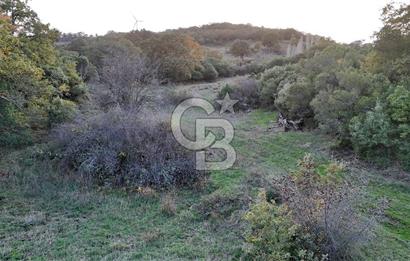 Hobi ve Tarım İçin İdeal! 15.211 m² 2 Adet Satılık Arazi