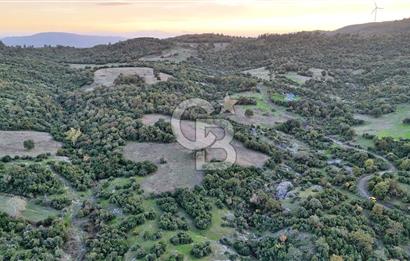 Hobi ve Tarım İçin İdeal! 15.211 m² 2 Adet Satılık Arazi