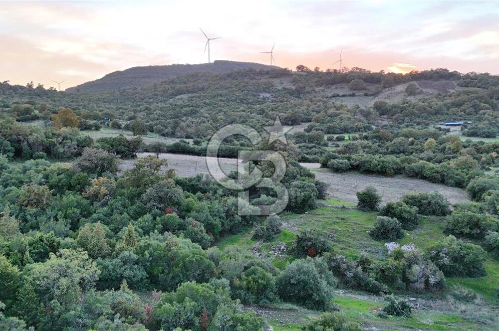 Hobi ve Tarım İçin İdeal! 15.211 m² 2 Adet Satılık Arazi