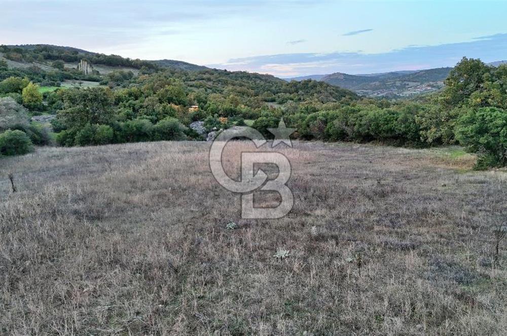 Hobi ve Tarım İçin İdeal! 15.211 m² 2 Adet Satılık Arazi