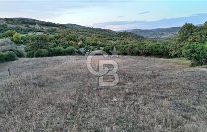 Hobi ve Tarım İçin İdeal! 15.211 m² 2 Adet Satılık Arazi