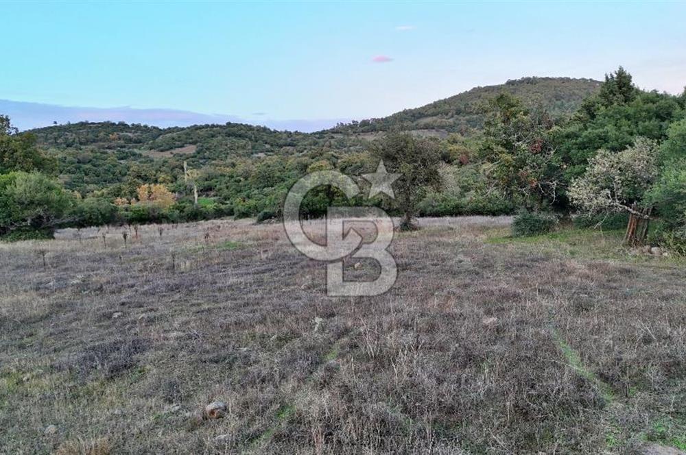 Hobi ve Tarım İçin İdeal! 15.211 m² 2 Adet Satılık Arazi