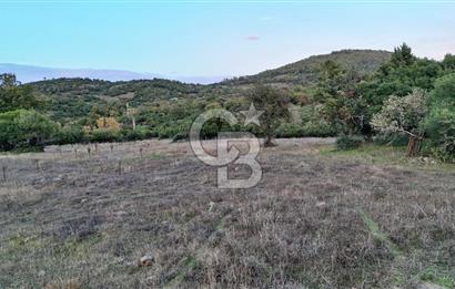 Hobi ve Tarım İçin İdeal! 15.211 m² 2 Adet Satılık Arazi