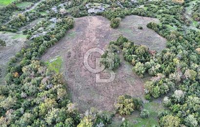 Hobi ve Tarım İçin İdeal! 15.211 m² 2 Adet Satılık Arazi