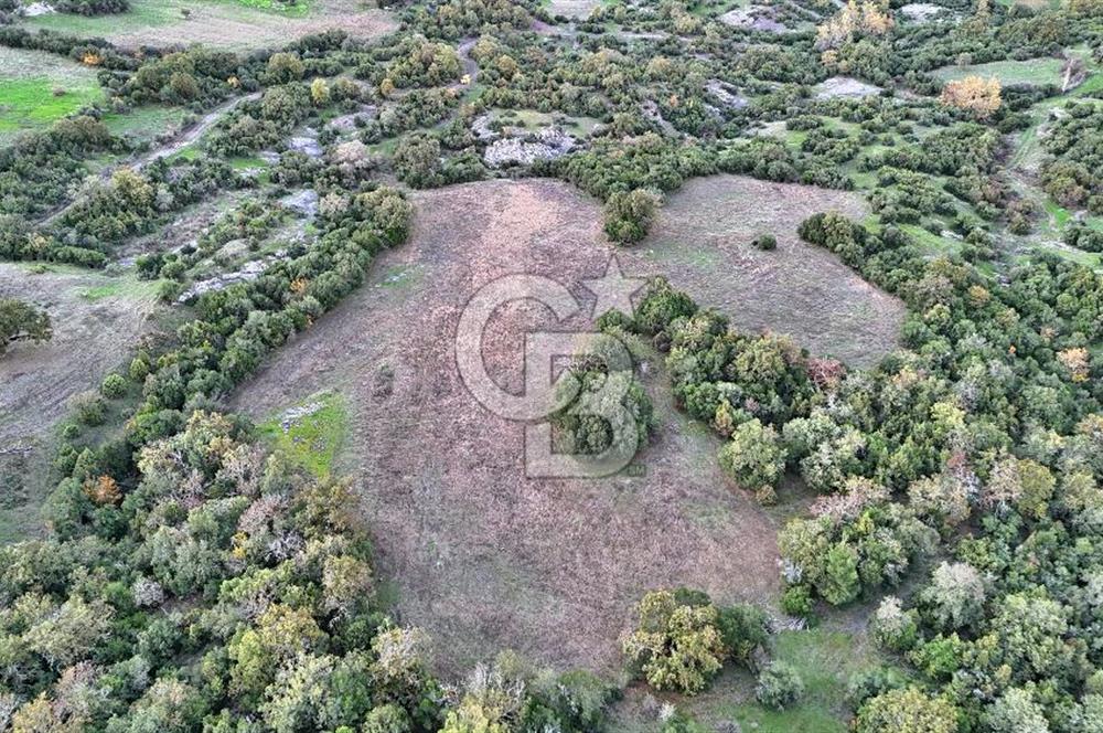 Hobi ve Tarım İçin İdeal! 15.211 m² 2 Adet Satılık Arazi