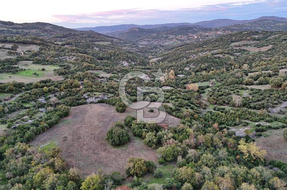 Hobi ve Tarım İçin İdeal! 15.211 m² 2 Adet Satılık Arazi