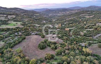 Hobi ve Tarım İçin İdeal! 15.211 m² 2 Adet Satılık Arazi