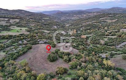 Hobi ve Tarım İçin İdeal! 15.211 m² 2 Adet Satılık Arazi