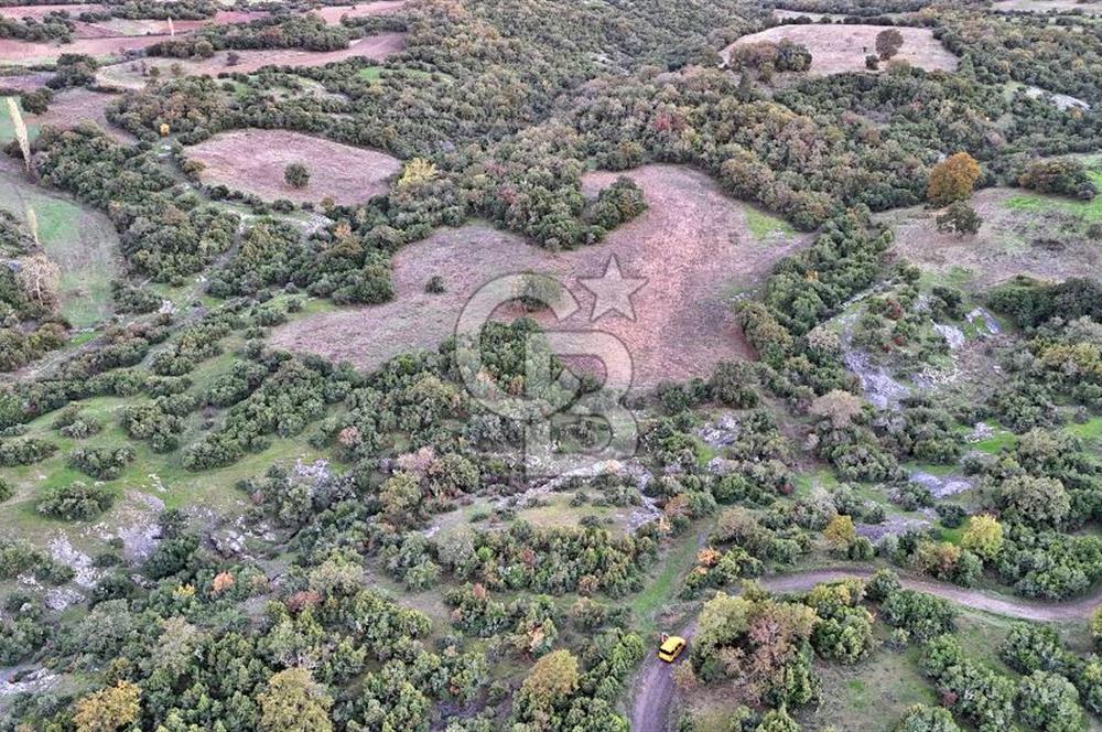 Hobi ve Tarım İçin İdeal! 15.211 m² 2 Adet Satılık Arazi