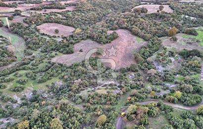 Hobi ve Tarım İçin İdeal! 15.211 m² 2 Adet Satılık Arazi