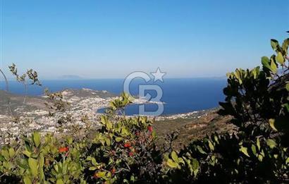 İzmir yeni foça da imara yakın bölgede satılık tarla