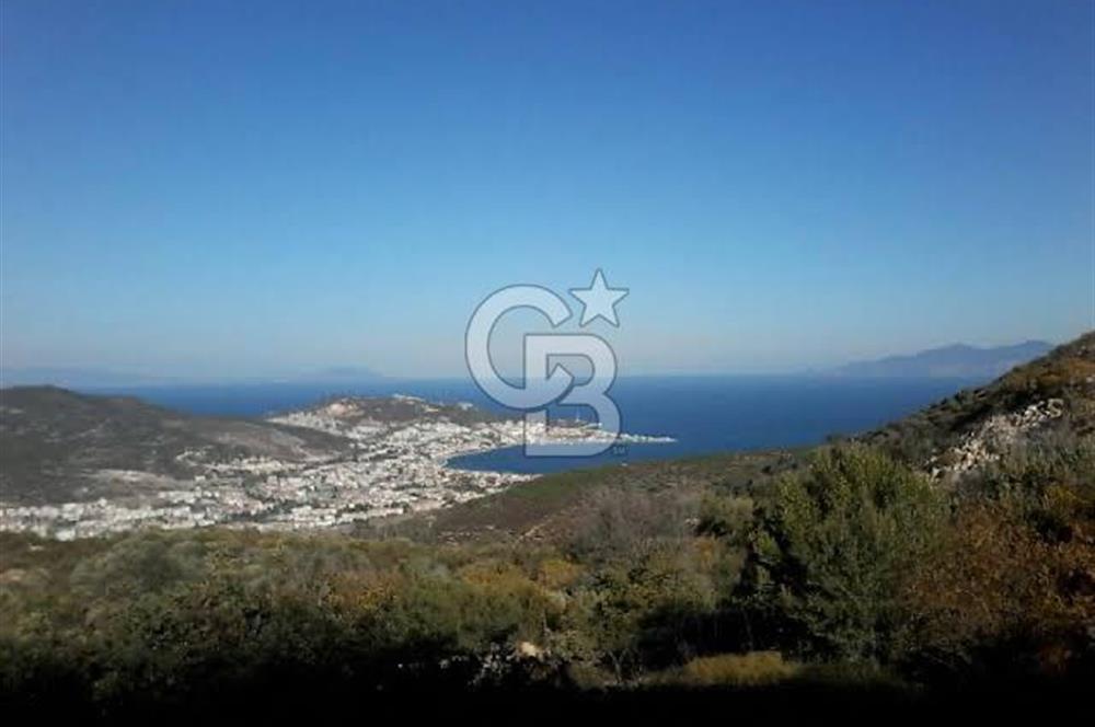 İzmir yeni foça da imara yakın bölgede satılık tarla