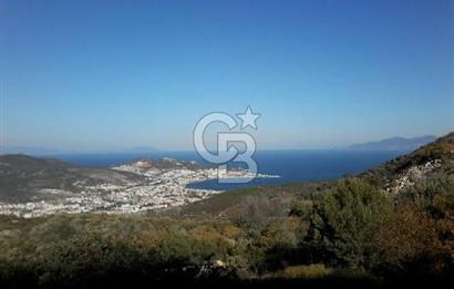 İzmir yeni foça da imara yakın bölgede satılık tarla