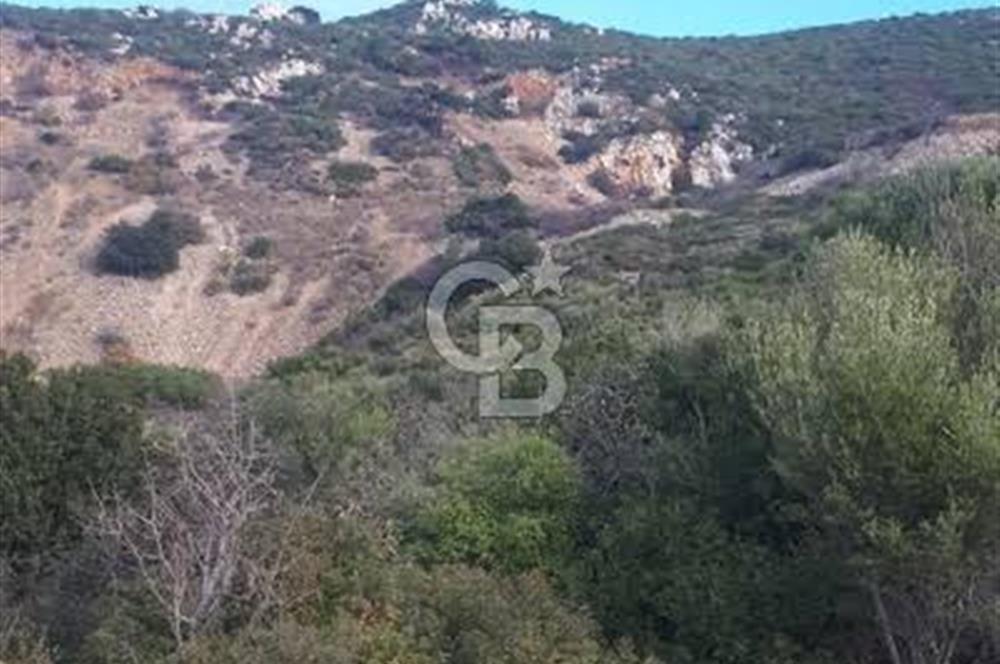 İzmir yeni foça da imara yakın bölgede satılık tarla