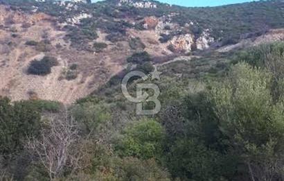 İzmir yeni foça da imara yakın bölgede satılık tarla