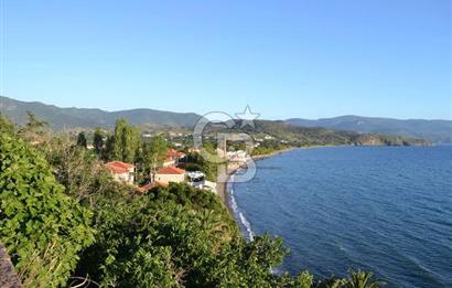 İzmir yeni Foça petra koyunda denize sıfır satılık tarla