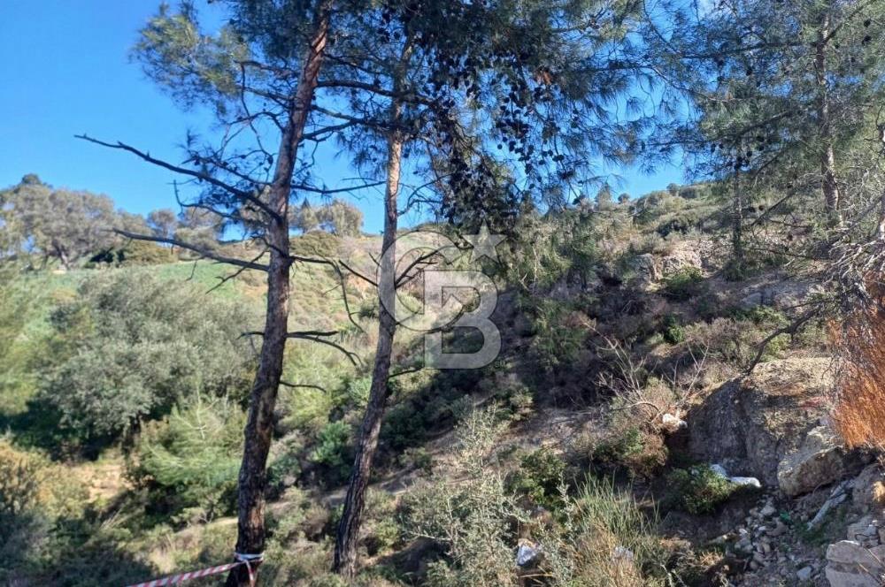 İzmir yeni foça da imara yakın bölgede satılık tarla