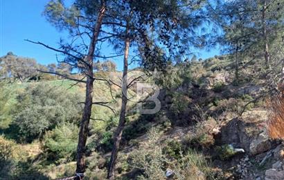 İzmir yeni foça da imara yakın bölgede satılık tarla