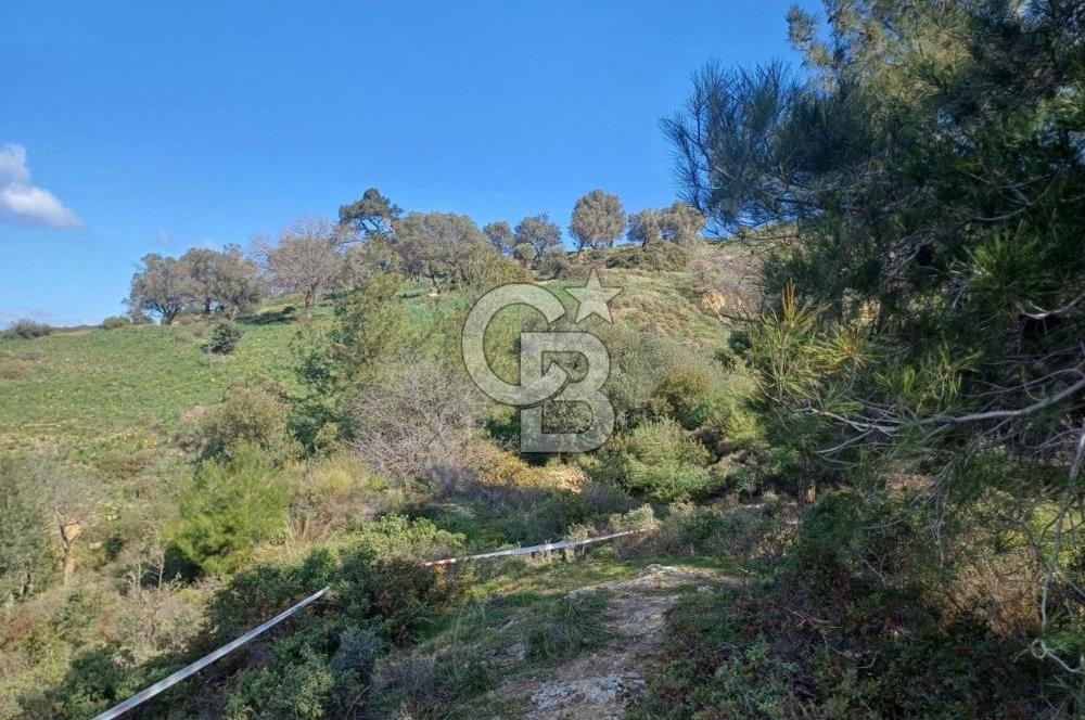 İzmir yeni foça da imara yakın bölgede satılık tarla