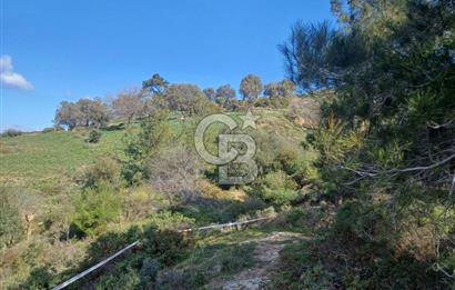 İzmir yeni foça da imara yakın bölgede satılık tarla