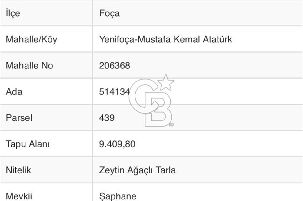 İzmir yeni foça da imara yakın bölgede satılık tarla