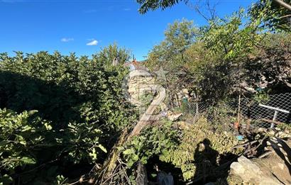 Köyün Kalbinde Bir Fırsat: Sarıcaelide 540 m² İmarlı Arsa