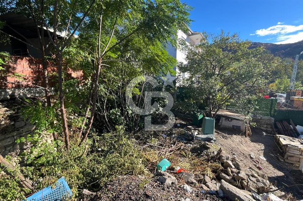 Köyün Kalbinde Bir Fırsat: Sarıcaelide 540 m² İmarlı Arsa