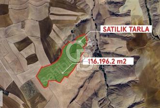 MAMAK ORTAKÖY 17 DÖNÜM SATILIK TARLA - 7 - 321213