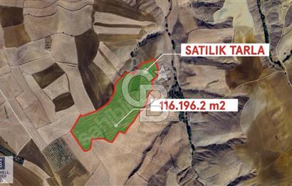 MAMAK ORTAKÖY 17 DÖNÜM SATILIK TARLA