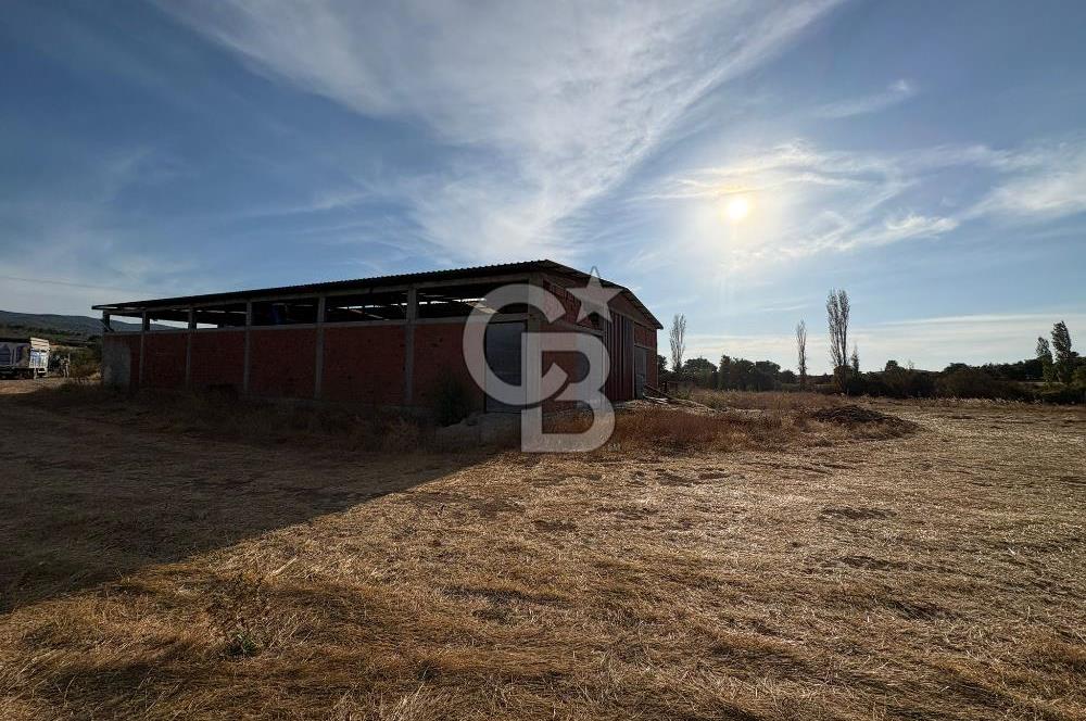 BAYRAMİÇ KUTLUOBADA KİRALIK HAZIR KURULU HAYVANCILIK TESİSİ