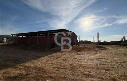 BAYRAMİÇ KUTLUOBADA KİRALIK HAZIR KURULU HAYVANCILIK TESİSİ