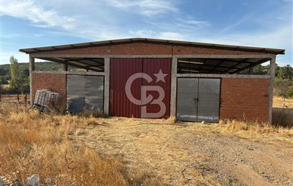 BAYRAMİÇ KUTLUOBADA KİRALIK HAZIR KURULU HAYVANCILIK TESİSİ