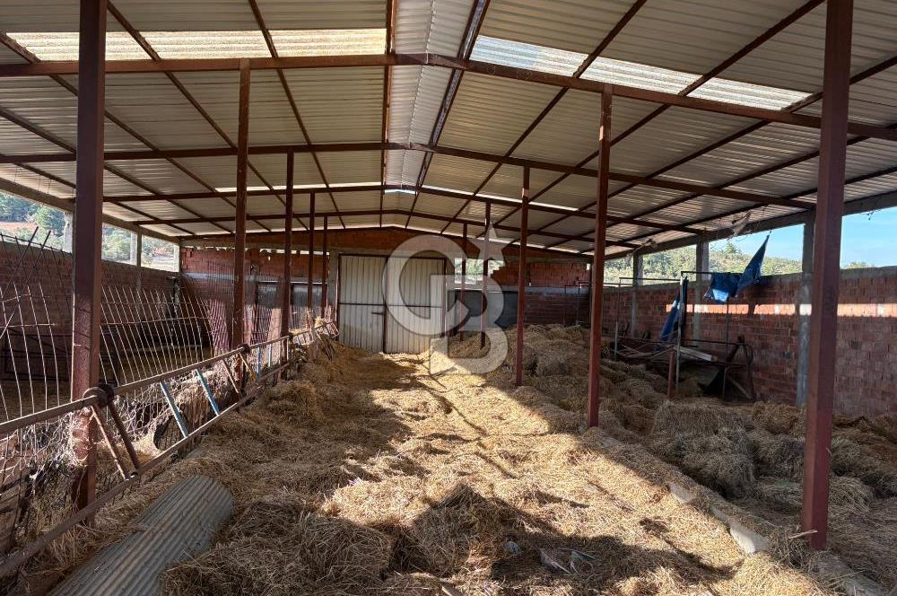 BAYRAMİÇ KUTLUOBADA KİRALIK HAZIR KURULU HAYVANCILIK TESİSİ