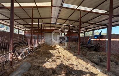 BAYRAMİÇ KUTLUOBADA KİRALIK HAZIR KURULU HAYVANCILIK TESİSİ