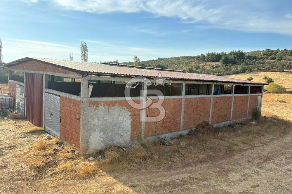 BAYRAMİÇ KUTLUOBADA KİRALIK HAZIR KURULU HAYVANCILIK TESİSİ