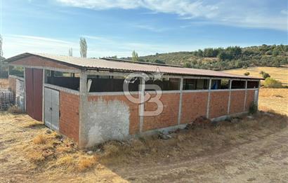 BAYRAMİÇ KUTLUOBADA KİRALIK HAZIR KURULU HAYVANCILIK TESİSİ