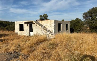 BAYRAMİÇ KUTLUOBADA KİRALIK HAZIR KURULU HAYVANCILIK TESİSİ