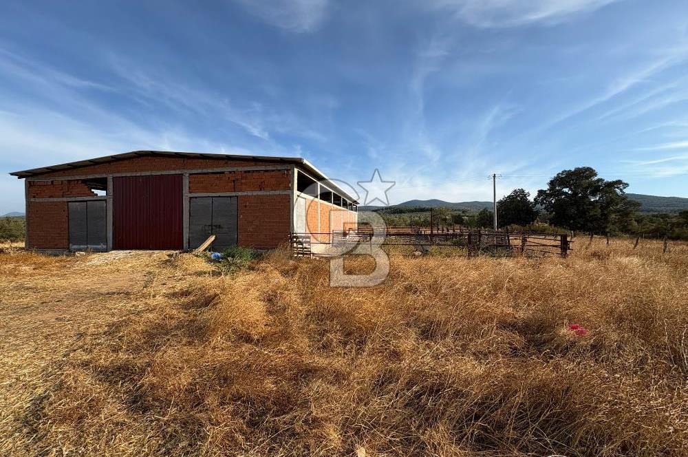 BAYRAMİÇ KUTLUOBADA KİRALIK HAZIR KURULU HAYVANCILIK TESİSİ
