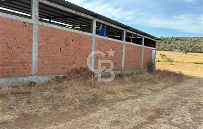 BAYRAMİÇ KUTLUOBADA KİRALIK HAZIR KURULU HAYVANCILIK TESİSİ