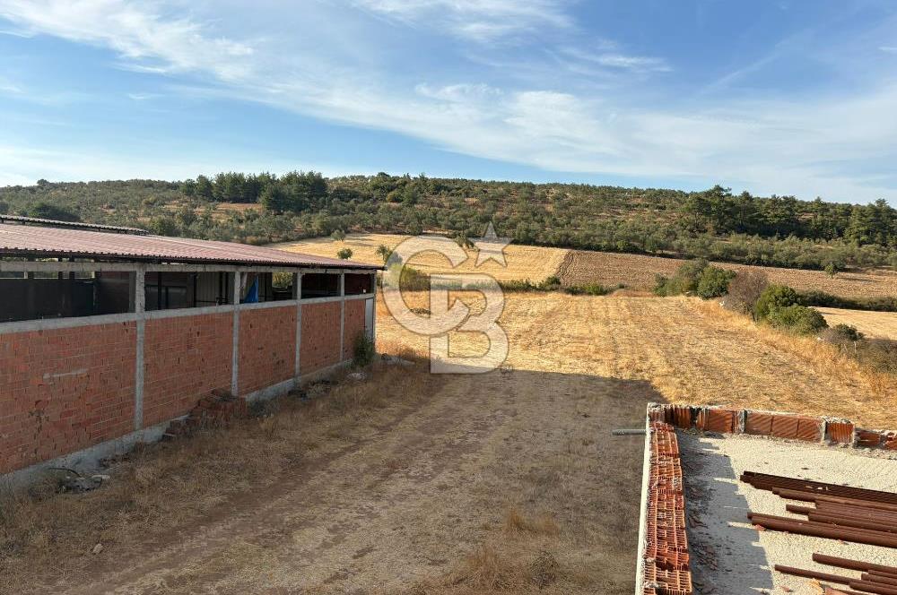 BAYRAMİÇ KUTLUOBADA KİRALIK HAZIR KURULU HAYVANCILIK TESİSİ