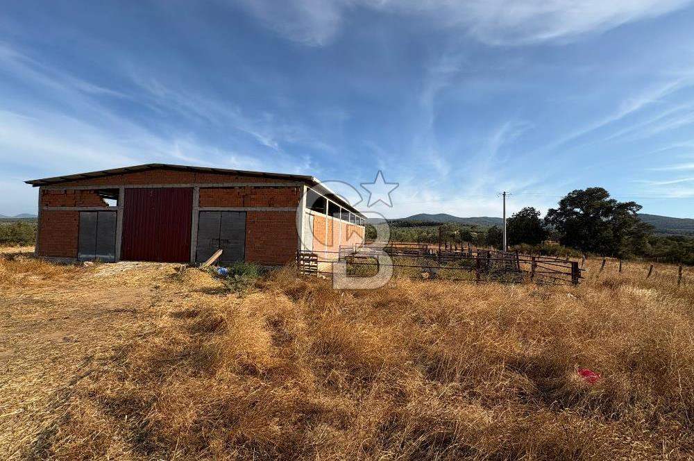 BAYRAMİÇ KUTLUOBADA KİRALIK HAZIR KURULU HAYVANCILIK TESİSİ