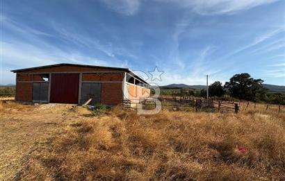 BAYRAMİÇ KUTLUOBADA KİRALIK HAZIR KURULU HAYVANCILIK TESİSİ